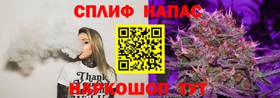 спиды Изобильный
